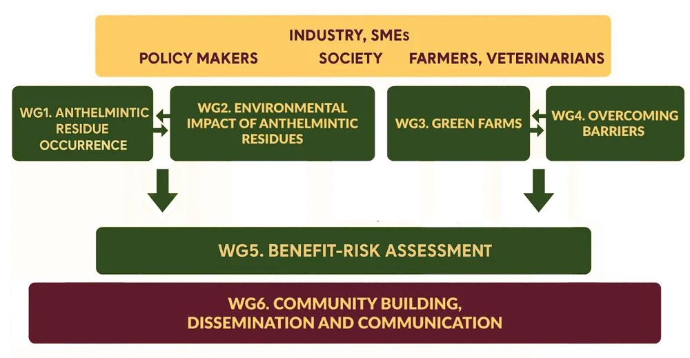 We organize ourselves into different specialized Working Groups We organize ourselves into different specialized Working Groups