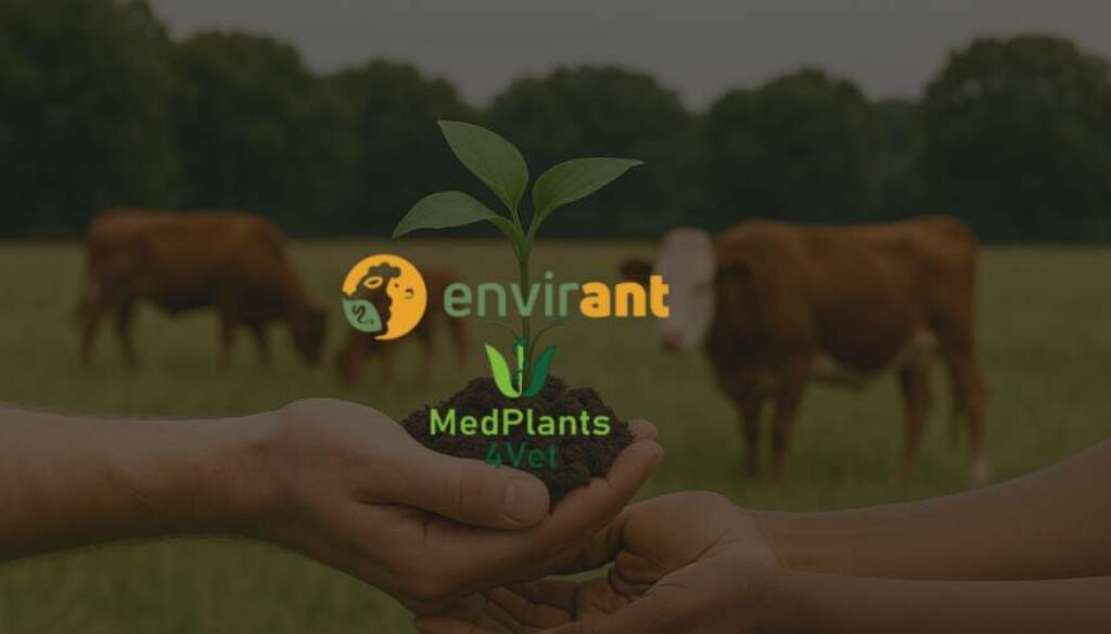 MedPlants4Vet Partners with COST Action ENVIRANT