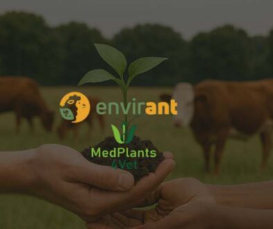MedPlants4Vet Partners with COST Action ENVIRANT