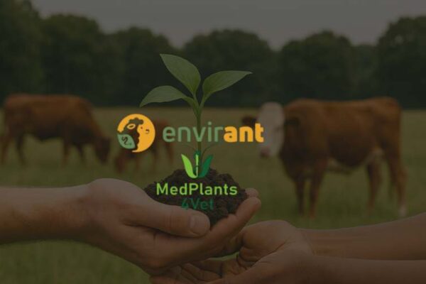 MedPlants4Vet Partners with COST Action ENVIRANT